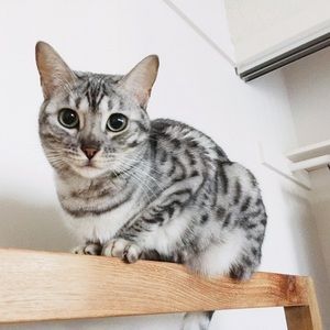 Meet your Posher, Yiwei